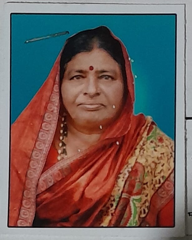 सदस्य